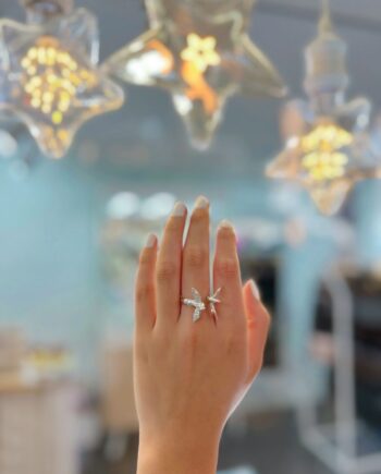 Anillo Doble pajarito