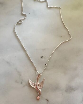 Collar Golondrian trae una estrella